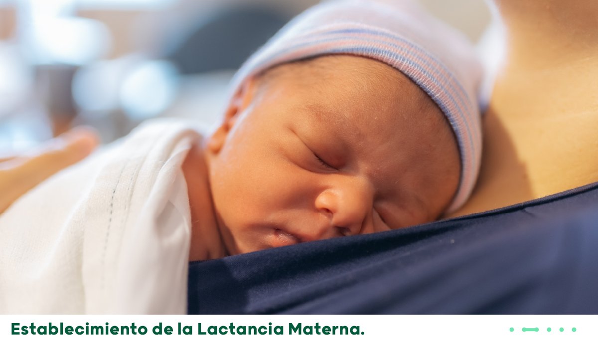 AreaSaludMerida's tweet photo. ¿Sabes cuáles son las claves para un buen establecimiento de la lactancia materna?
🔽Leer más🔽
https://t.co/JohqiwlJpH
#LactanciaMaterna #SemanaMundialDeLaLactanciaMaterna #saludycultura #HospitalMerida #eSaludMerida #areasaludmerida https://t.co/5QLcsNYbBx