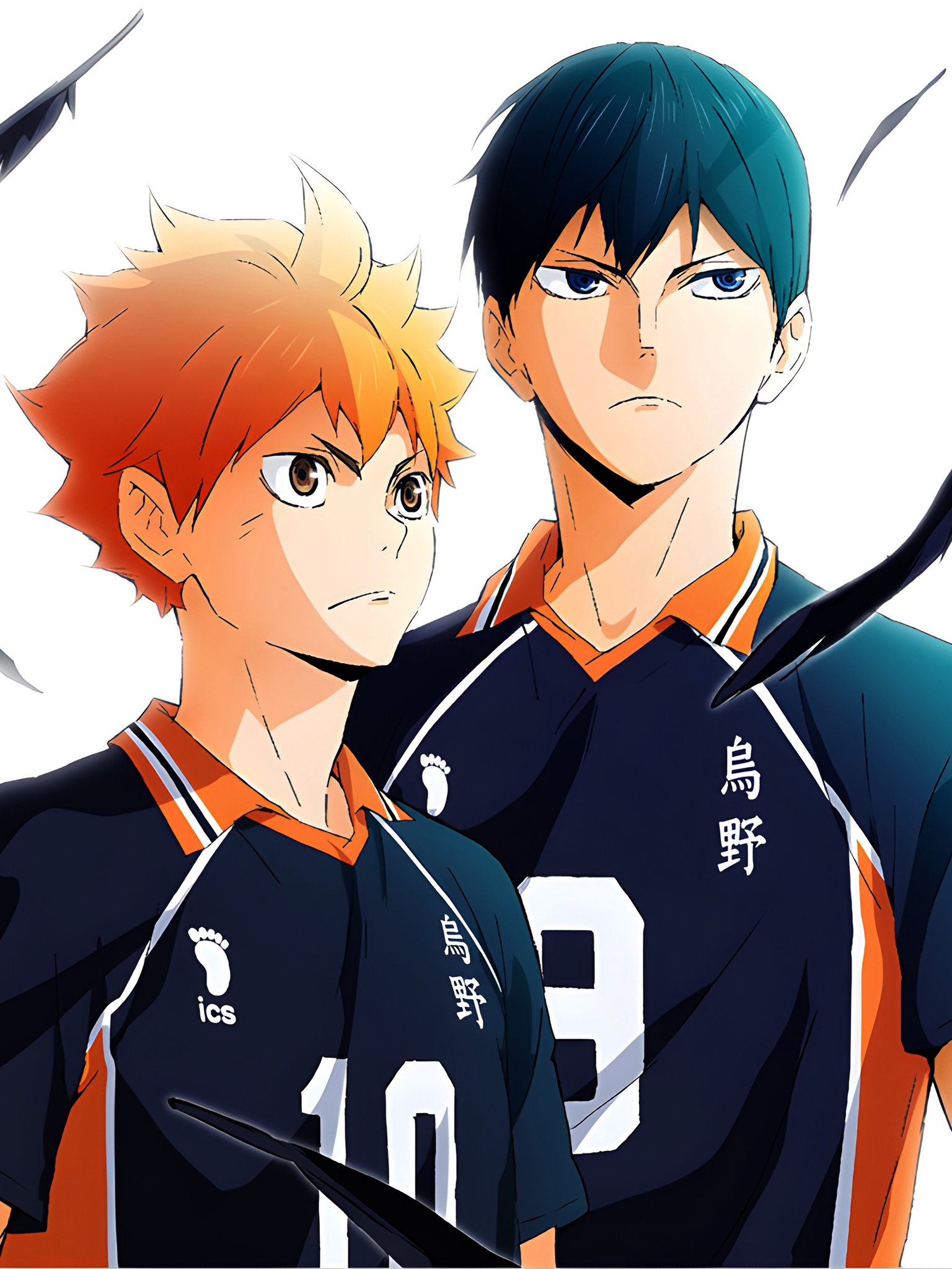 HAIKYUU SEASON 5 CONFIRMED! - BiliBili