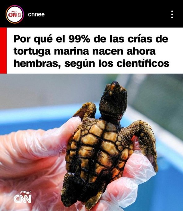 1 pic. Definitivamente algunas personas tienen mierda en el cerebro ? https://t.co/DCU9jCbPZx