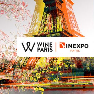 🟢Ouverture des inscriptions pour WINE PARIS 🍷
📅 Du 13 au 15 février 2023, <a href="/FoodLoire/">FoodLoire</a> et <a href="/Devup_/">Dev'up</a> , avec la Région <a href="/paysdelaloire/">Pays de la Loire</a>, proposent aux vignerons du #ValdeLoire de rejoindre le stand collectif à @wineparisevent.
👉 Inscriptions avant le 25 août bit.ly/2M4k8lX