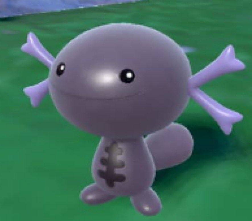 Shiningmew1230's tweet photo. if i see one more person call Paldean Wooper “pooper” i am going to be very angry how could you call him that he’s precious baby boy #stopthepaldeawooperslander
#PokemonScarletViolet #Wooper #Pokemon https://t.co/JaTMdpkJGW