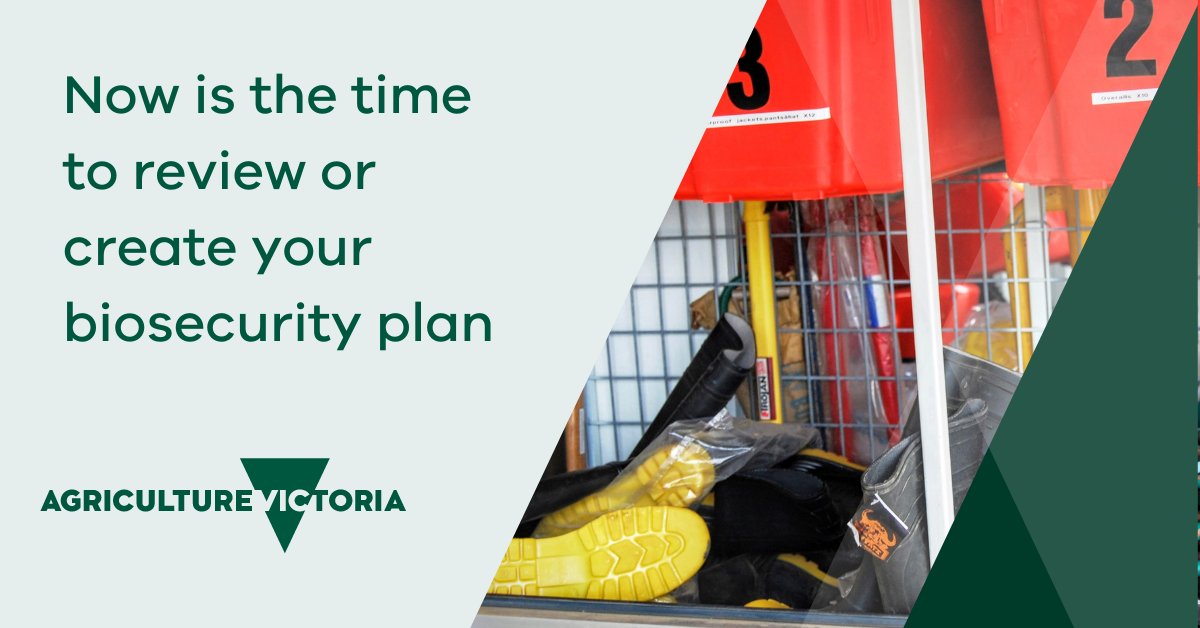 Schedule time with your family to review or create your farm biosecurity plan. <a href="/animalhealthAUS/">Animal Health Australia</a> have all the information you need to get started on their website: animalhealthaustralia.com.au/better-on-farm… 

<a href="/VicFarmers/">Victorian Farmers Federation (VFF)</a> <a href="/meatlivestock/">Meat & Livestock Australia</a> <a href="/Dairy_Australia/">Dairy Australia</a> <a href="/SheepProducers/">Sheep Producers Australia</a> <a href="/woolinnovation/">Australian Wool Innovation</a>