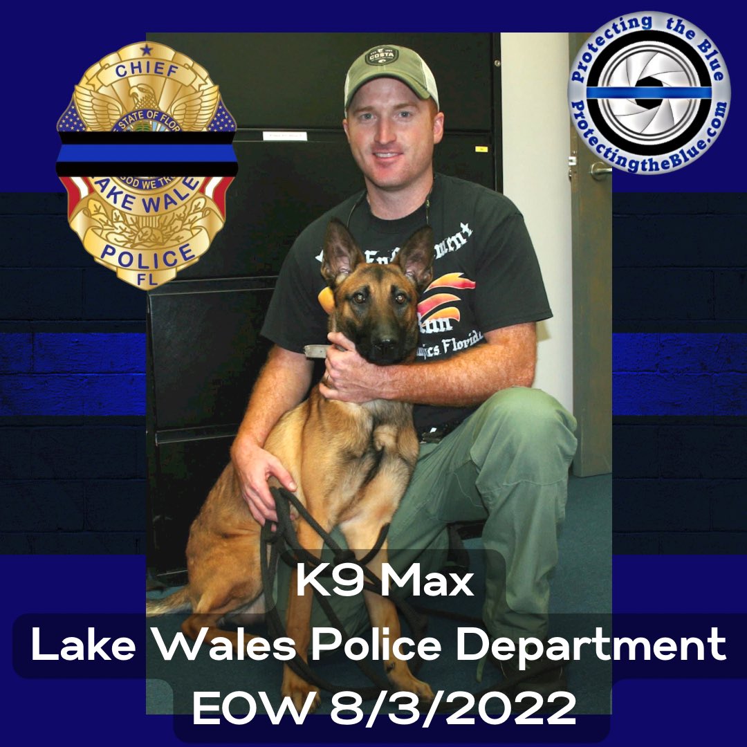 RIP. Florida K9 Max was murdered when he was shot and killed while apprehending a violent convicted felon. STOP SHOOTING MY POLICE OFFICERS!!! #rip #hero #murdered #K9Max #LakeWalesPoliceDepartment #lawenforcement #thinblueline #bluelivesmatter #backtheblue