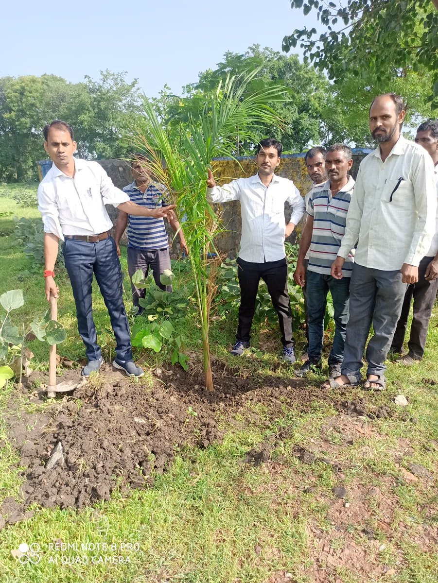 DangiRj09's tweet photo. शिक्षक संघ (युवा) द्वारा अंतर्राष्ट्रीय पारिवारिक वानिकी दिवस 4अगस्त 
#अंतर्राष्ट्रीय_पारिवारिक_वानिकी_दिवस
#मेरा_पेड़_मेरी_पहचान #हमारा_हरित_सदस्य 
#पारिवारिक_वानिकी #FamilialForestry
#InternationalFamilialForestryDay 
#MyTreeMyIdentity #OurGreenMember https://t.co/jQhI7nXdKw
