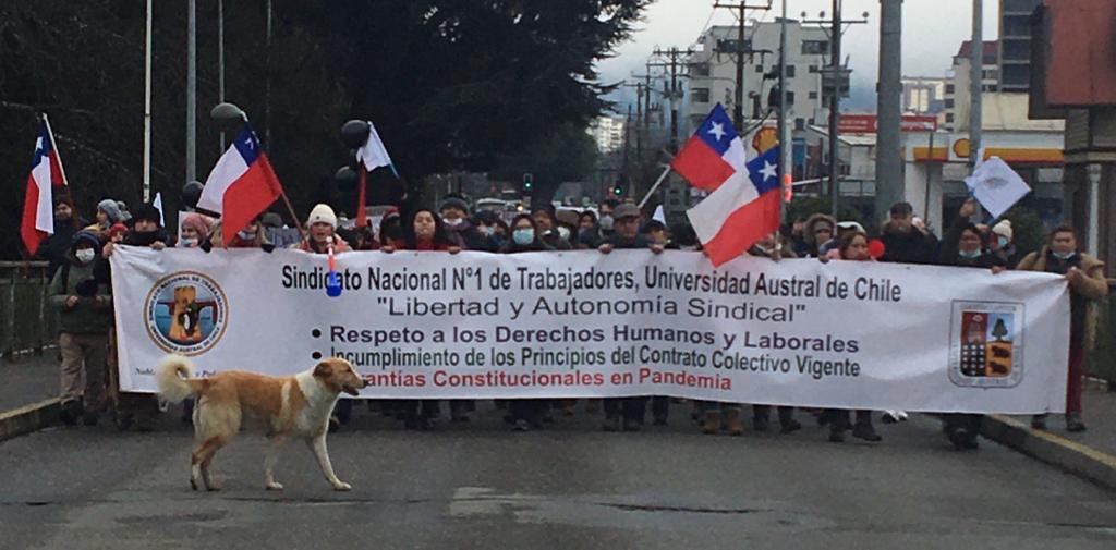 Somos el Sindicato Nacional Nro. 1 de Trabajadores/as de la Universidad Austral de Chile, con presencia en #Valdiviacl, #Osorno, #Frutillar, #PuertoMontt, #Coyhaique y #Santiago.
Actualmente, más de 1200 asociados nos encontramos en huelga en el marco de negociación colectiva.