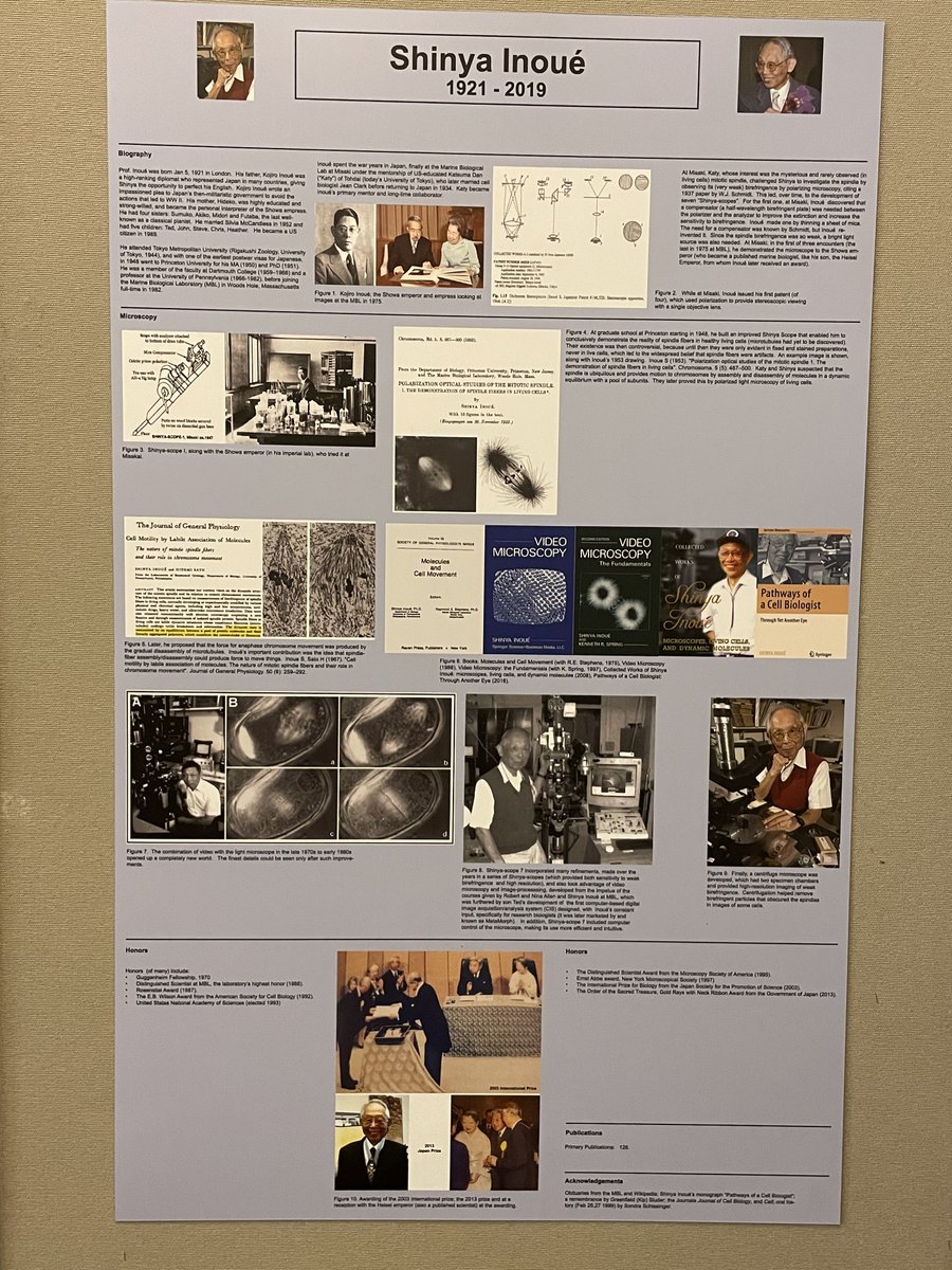 Valm_Lab's tweet image. It was an honor and delight to participate in the Shinya Inoué Memorial Symposium at Microscopy&amp;amp;Microanalysis #MM2022Portland. Shinya Inoué's passion, wisdom and love of nature are passed on and contribute to his legacy. Also a joy to gather with friends old and new!  @MBLScience