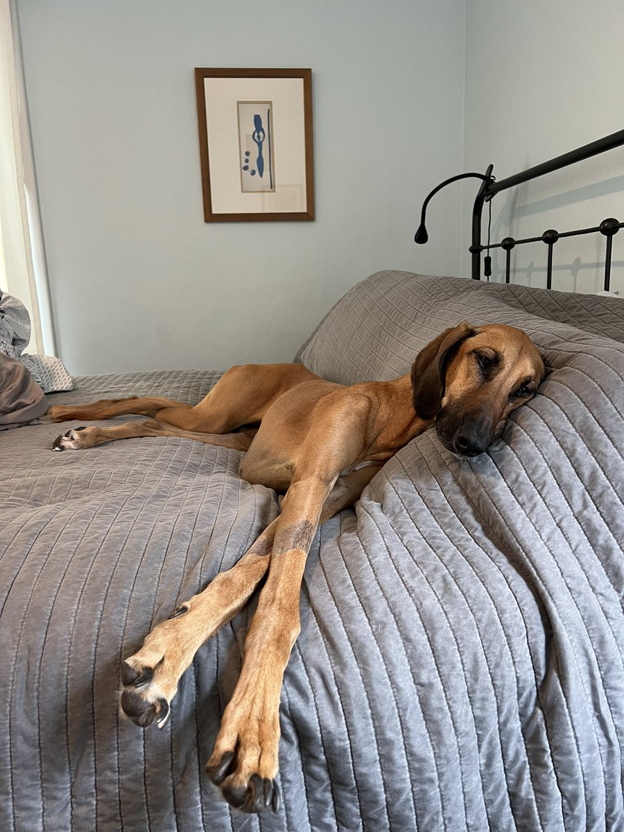 Jackie Conklin tweet media