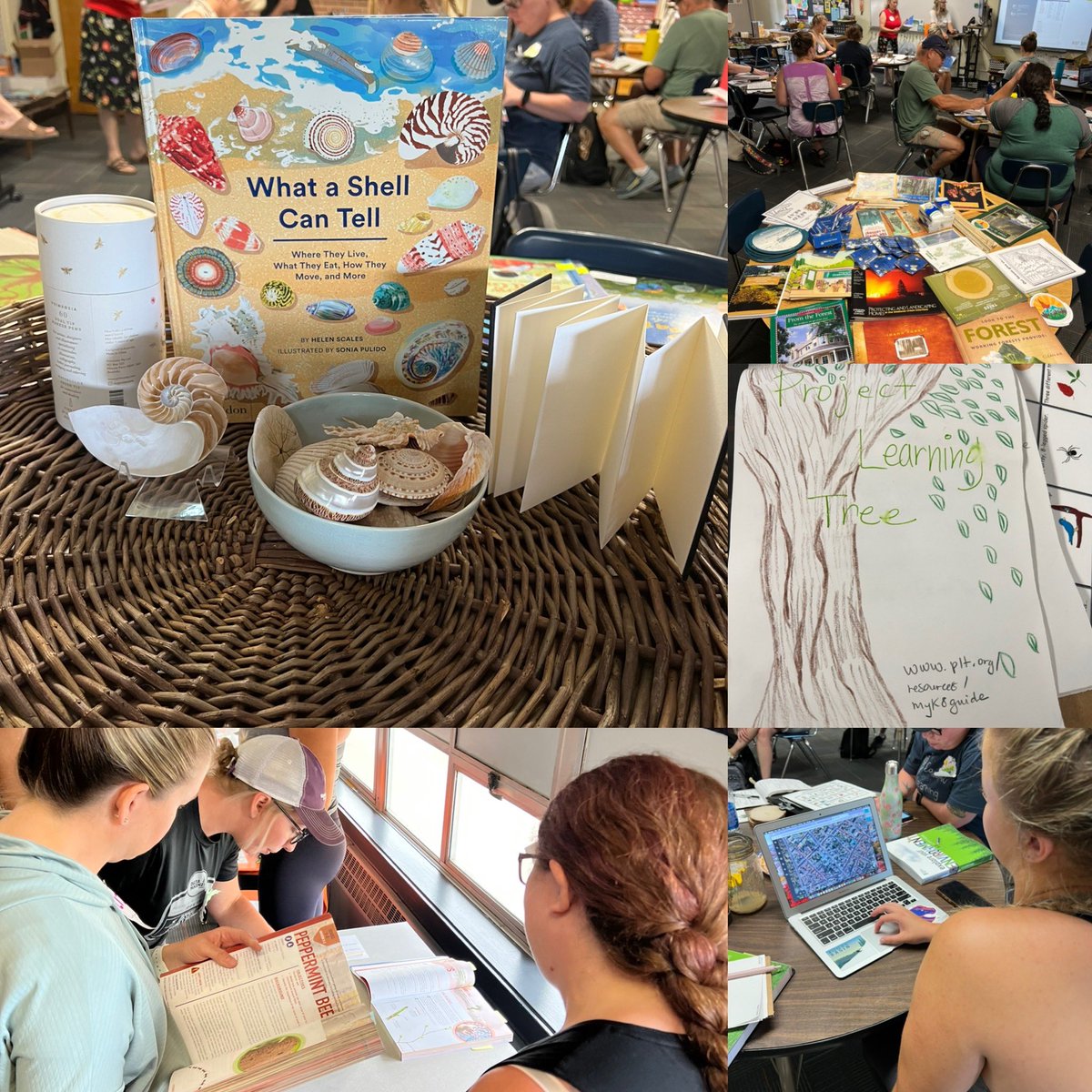WolfeWanders's tweet photo. So fun working w/ educators developing their personal and professional knowledge in “Cultivating Curiosity Through Schoolyard Science”PD. Along with #PBL training Ts received the NEW #projectlearningtree Activity Guide. Environmental Ed that is integrated and impactful! #ignitED https://t.co/DpTxCYlxeU