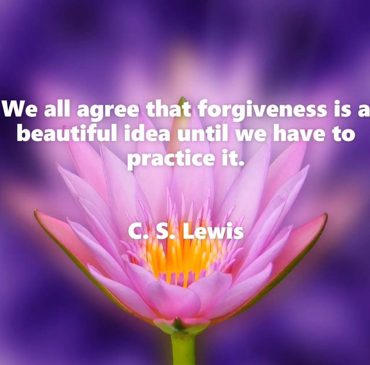 forgivenesspath's tweet photo. #forgiveness #thepathofforgiveness #healing #meditation #freemeditation #forgivenessquotes #forgive https://t.co/SWTADYAHjP