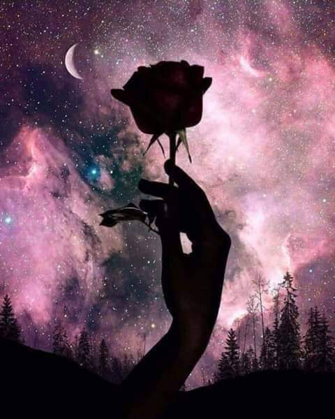 #صباح_الخيرᅠ
اليوم ، لاشيء يستحق كلّ تلك الأناقة و اللياقة ،
 الوطن نفسه أصبح لا يخجل من أن يبدو أمامنا في وضع غير لائق !