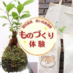 茨城県 袋田温泉 思い出浪漫館のツイート画像