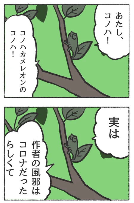 人間に擬態したカメレオンの漫画【24】度重なるおわび#それでも葉っぱコノハちゃん #それでも人間レオンくん 