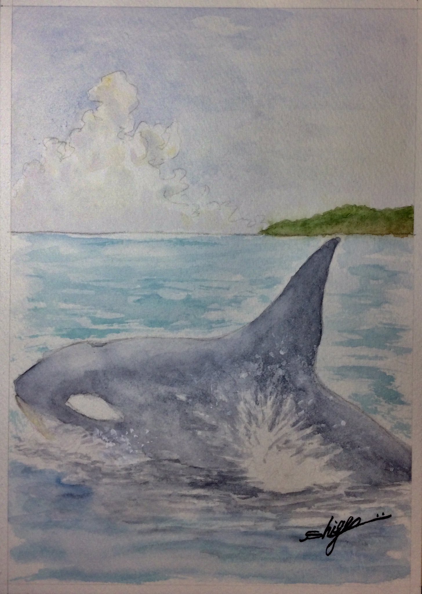 しげ兄 オルカの海 今日も透明水彩絵の具を使って オルカの海を描いてみました 大きな身体と長いせびれのオルカ 息継ぎの為に浮上してきました 透明水彩画 風景画 海と空 オルカ 絵を描いている人と繋がりたい 絵が好きな人と繋がりたい