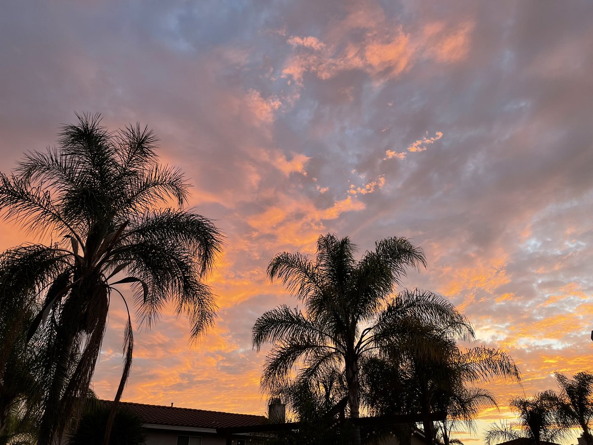 Babydoll_136's tweet photo. Hello, August!❤️ #socal #sunset https://t.co/ySfpZKDtMN