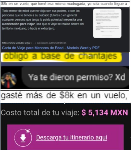 translate pro bocito