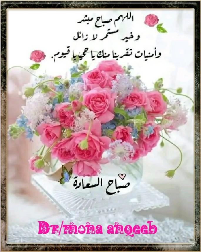 آلدگتورهہ مـಿـنئ آلنقـಿـيبಿـ tweet media