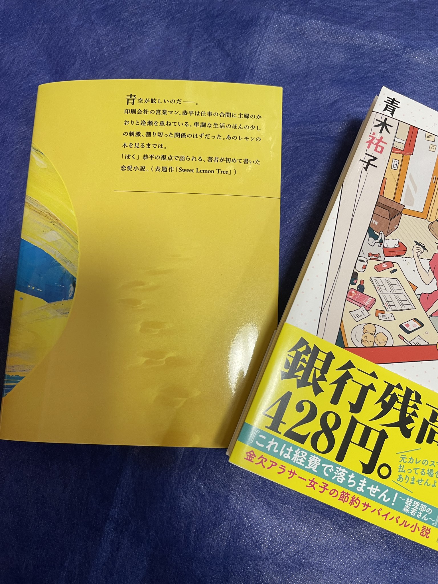 望月 圭＠産休中/2026,5までは休止確定 (@_Mochizuki_Kei_) / X