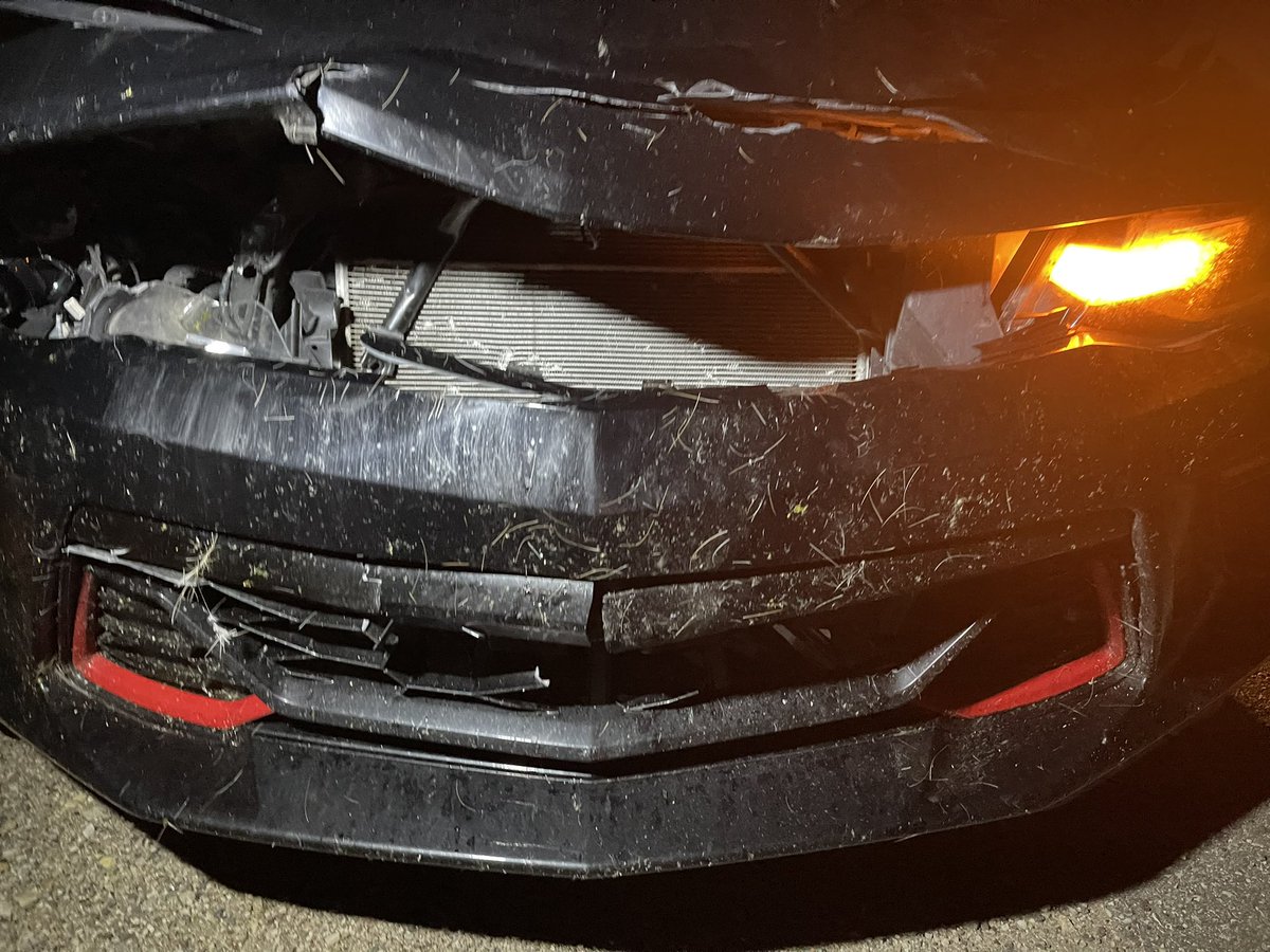 FastHorsesNCars's tweet photo. 2 weeks today since my fate and a young buck’s collided as I was going home from an evening of volunteering. Waiting to hear on whether my favourite belonging is a write off or fixable. 29 years of driving without hitting a deer has come to an end 😓 #camaro2ss #poorcharlie https://t.co/p9EMc0K7CX