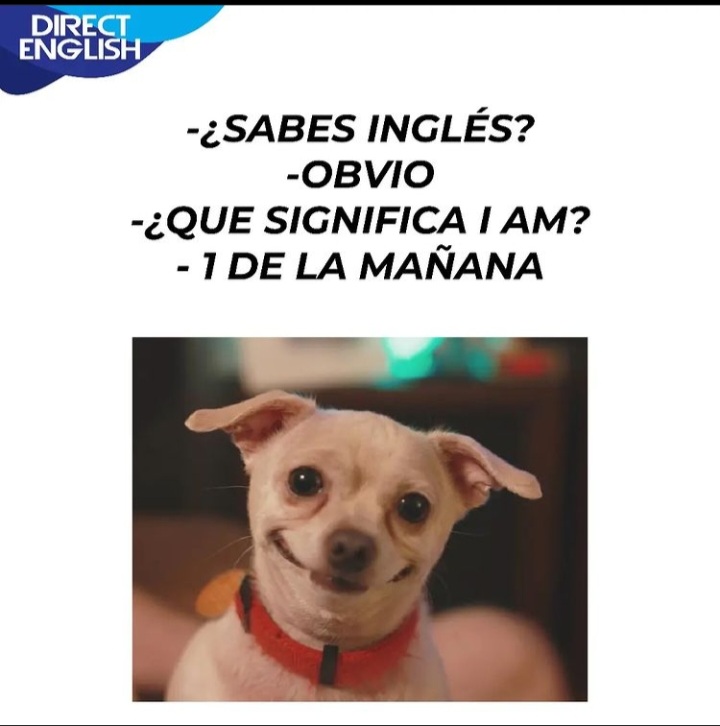 Direct__English's tweet photo. Etiqueta a tu amigo que haría esto... 😅😅😅

#memedirect #memes #smile #funny #happiness #realidad #humor #comedy https://t.co/lxepJmFDKA