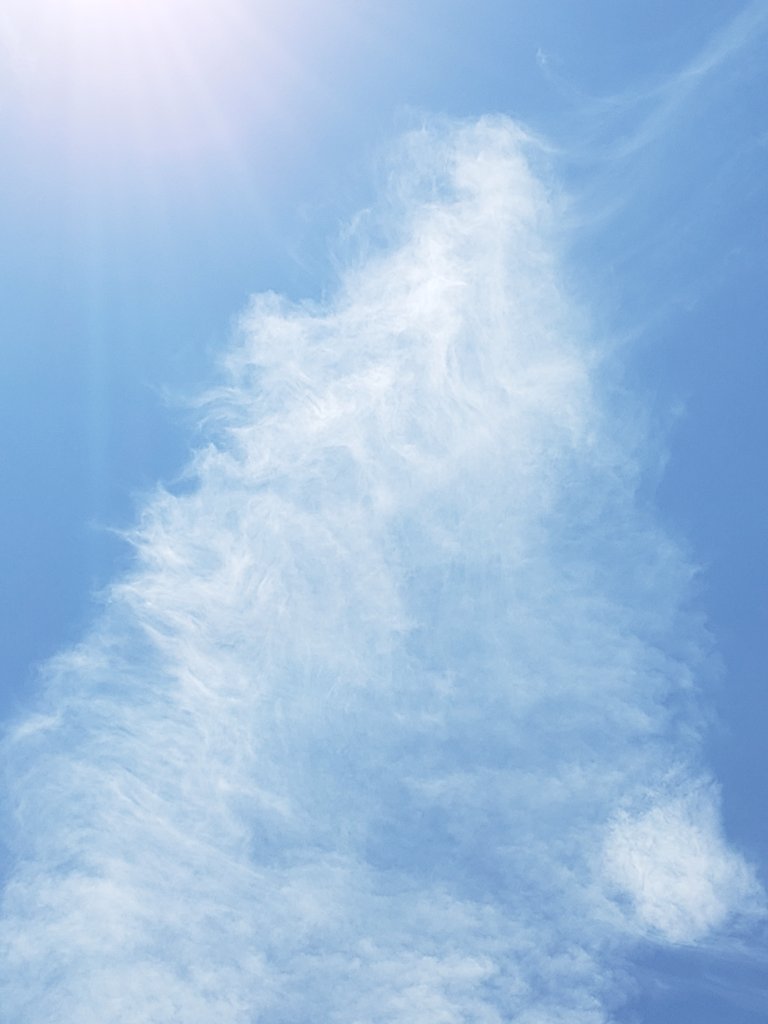 meesuke1's tweet photo. #イマソラ #いまそら #clouds
なんだか #昇り龍 さんみたいに見えませぬか?🙌😹😍🐉✨🙏☺️
#LookLikeDragon #ドラゴン #龍 🐲 https://t.co/IJcWi8DWb9