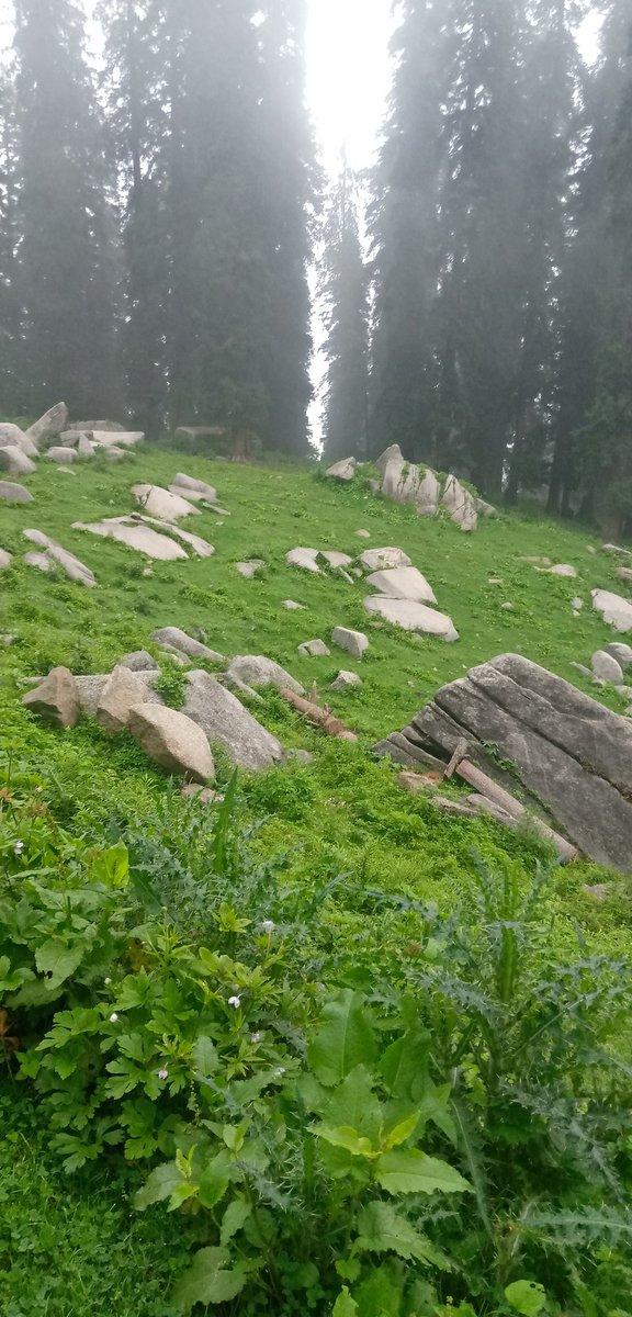 Rajinde15863622's tweet photo. बिसलरी भी फेल है इस पानी के आगे ❤️❤️
#प्रकृति #HimachalPradesh #khadrala #rohru https://t.co/0VipqRGOCk