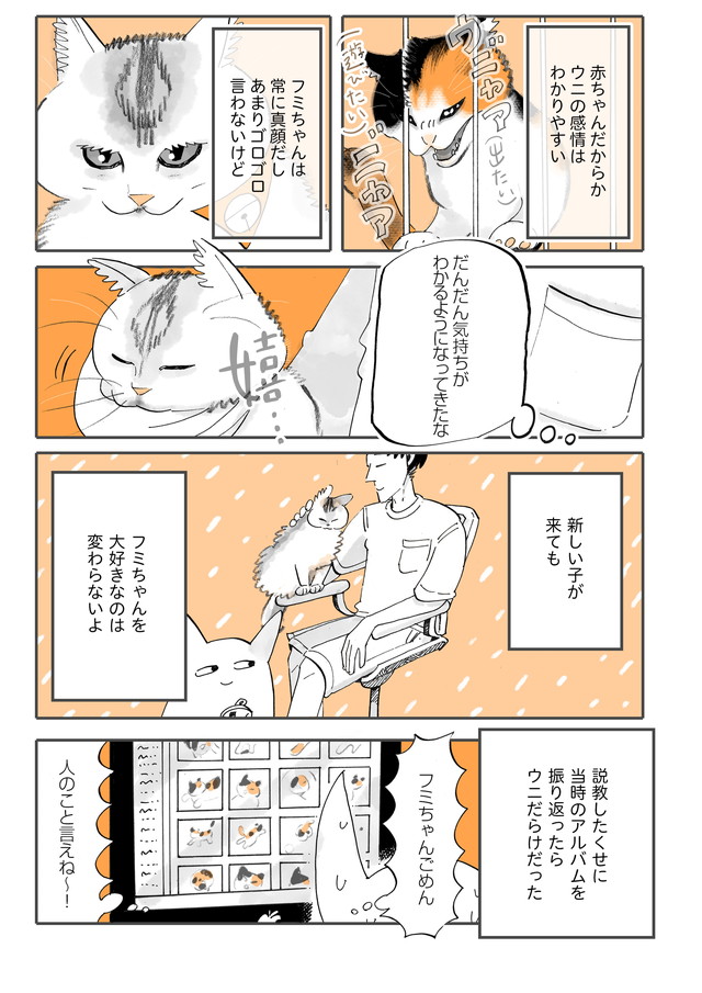 『先住猫と新入り猫そして千葉雄大くん』(2/2)

#うちの猫は仲が悪い 