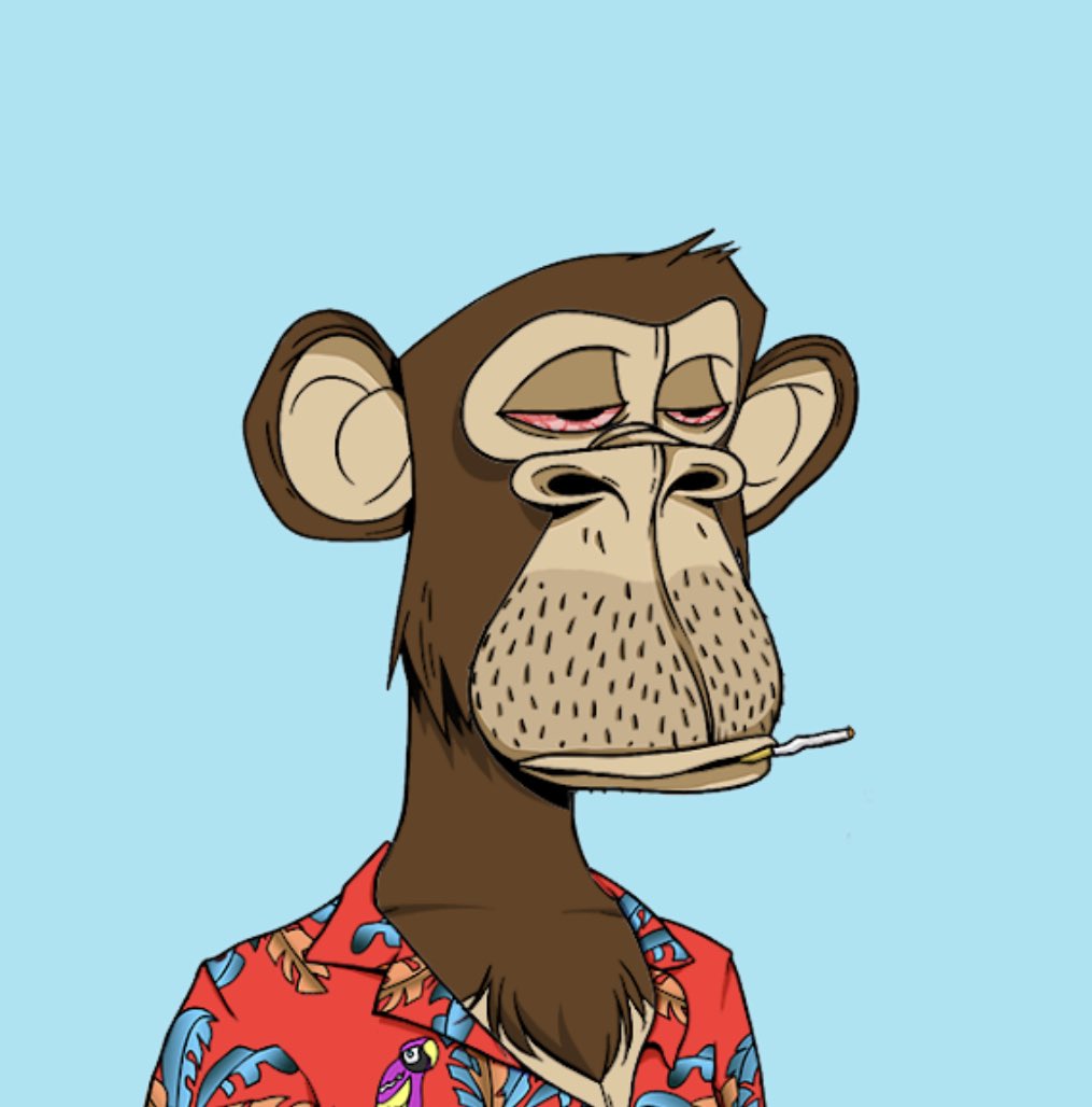 Crypto Shaman🍌🐈🧬 tweet media
