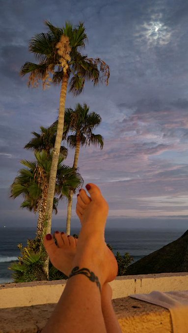 Life could be worse... #mexico (I got my toes in the sand, a drink in my hand...all I need is the beautiful<a href="/tag/mexico"class="tags">#mexico</a><a href="/tag/vanhalen"class="tags"><span>#vanhalen</span></a>