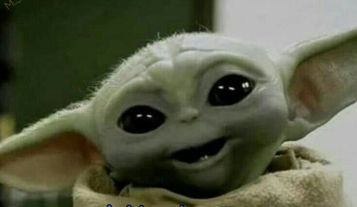 Troll Cat 🇺🇦 tweet media