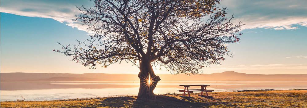 COMING TO TERMS WITH STAGFLATION
Income Solutions August 2022 Newsletter includes some ‘Tech tips to get more hours in your day’, and provides an outline of the new economic term stagflation, plus more:  incomesolutions.com.au/coming-to-term…
#financialplanners #incomesolutions