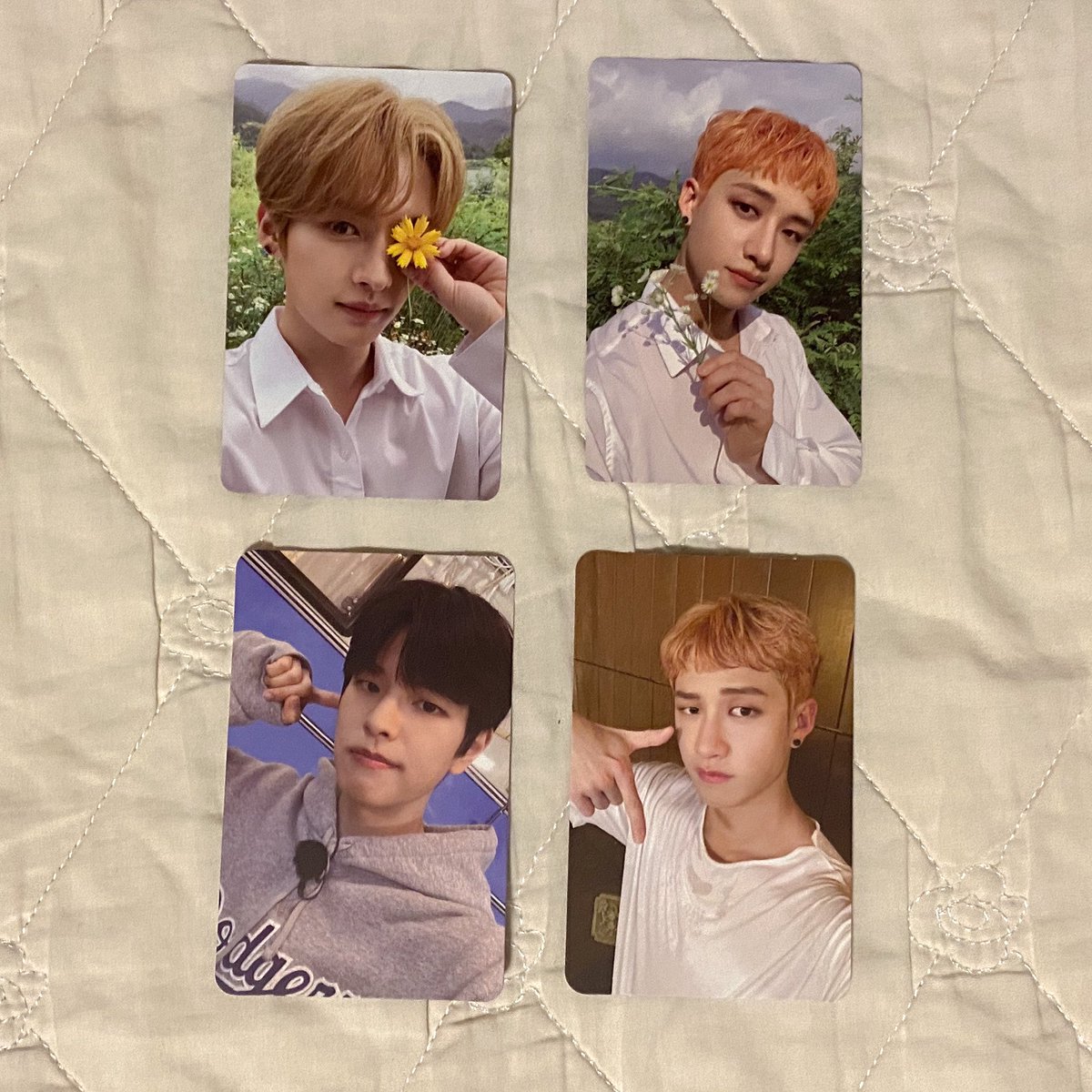03y_kr's tweet photo. wts | lfb | ph

NCT, SKZ, SVT &amp; ENHYPEN QS 
• check thread for more

🛒; nct jisung mark svt lee know felix bang chan in svt seventeen enhypen jungwon sunoo jay niki dilemma answer down id set sg dusk enhypen

reply / dm mine to claim. https://t.co/UhldC3k6XY