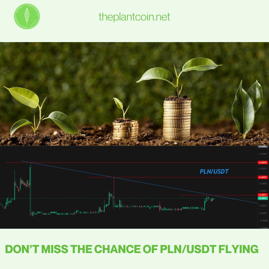 PLANT Currency 🌿🌿 tweet media