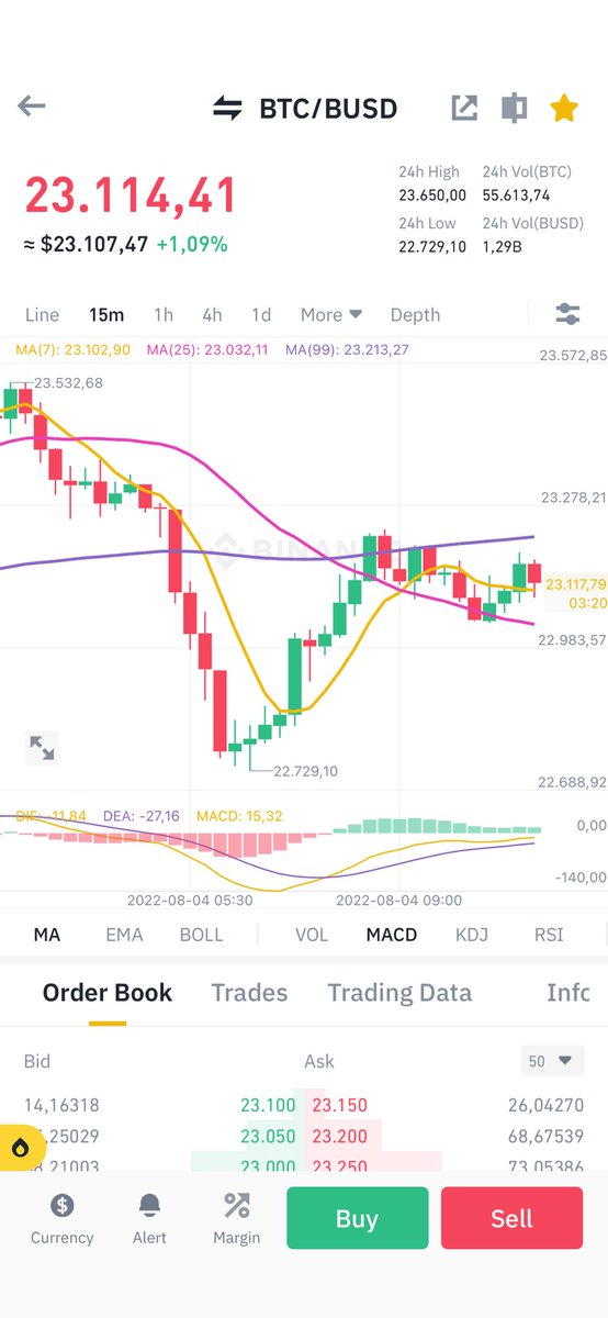 Have I been overdoing the Bob Marley salad or is bitcoin drawing us a map of Africa!!??