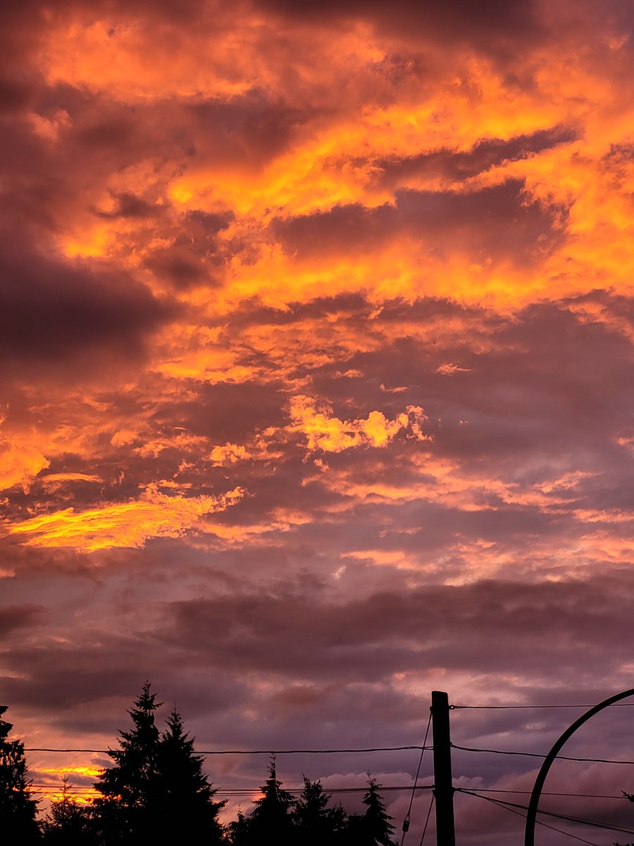 dustinjaywalker's tweet photo. Fiery skies over #nanaimo tonight. https://t.co/q6BWFJkzIF