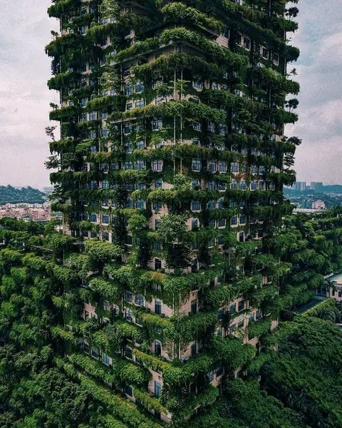 DannyMwisha's tweet photo. "Le monde célèbre le 03 octobre de chaque année la journée mondiale de l'habitat".
Préconisons premièrement l'écologie dans nos villes afin de nous protéger. Les espaces verts jouant les roles de la purification de l'air, de l'esthétique ,..., peuvent être une préoccupations https://t.co/0Mj5RhFSO8
