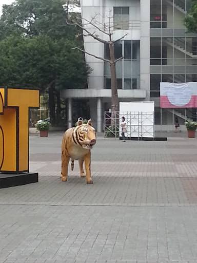 tuwaystin's tweet photo. hoshi from ust https://t.co/QbQ7Wteevd