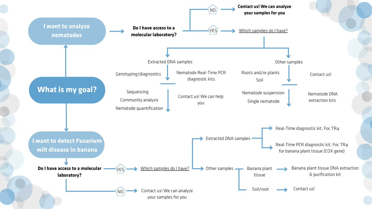 ClearDetections EN tweet media