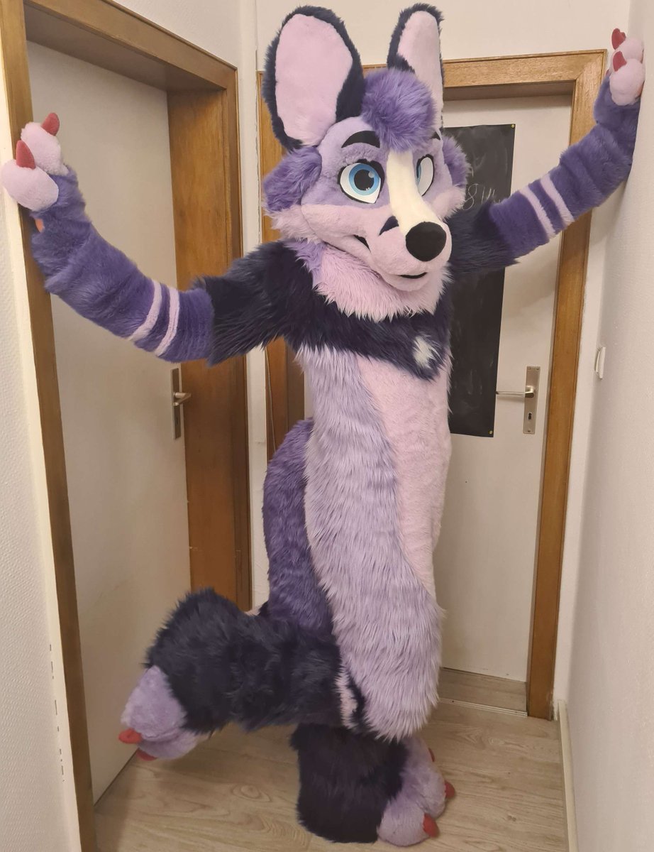 FursuitReview's tweet photo. New #fursuit review (written by @_Moric3_):
[YES] Morice the Fox by @WildDogWorks

Read it here:
https://t.co/GbrUY5NV2J https://t.co/LNmrLz0C2o