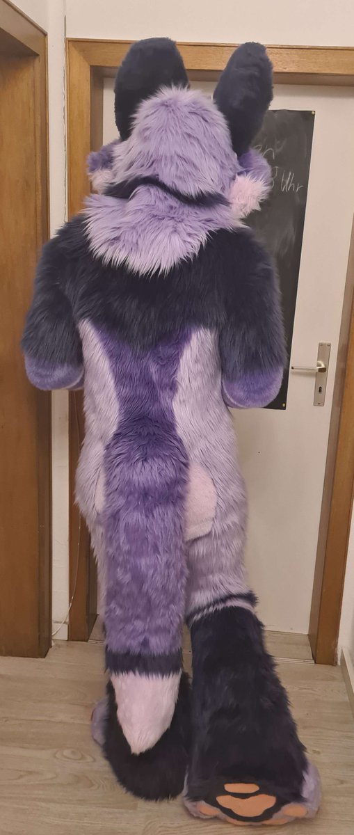 FursuitReview's tweet photo. New #fursuit review (written by @_Moric3_):
[YES] Morice the Fox by @WildDogWorks

Read it here:
https://t.co/GbrUY5NV2J https://t.co/LNmrLz0C2o