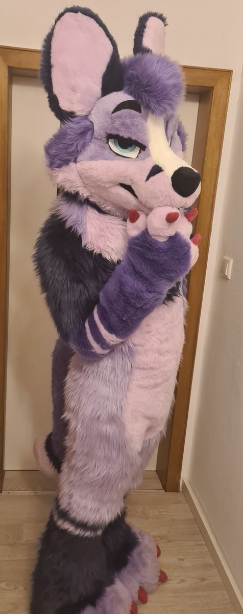 FursuitReview's tweet photo. New #fursuit review (written by @_Moric3_):
[YES] Morice the Fox by @WildDogWorks

Read it here:
https://t.co/GbrUY5NV2J https://t.co/LNmrLz0C2o