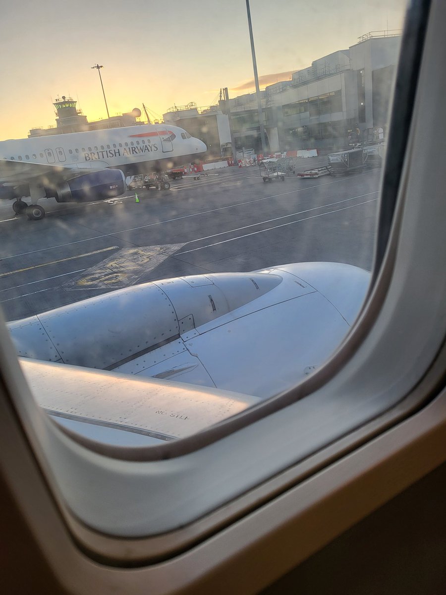 visatorro's tweet image. Just doing the herding on the outfarm.