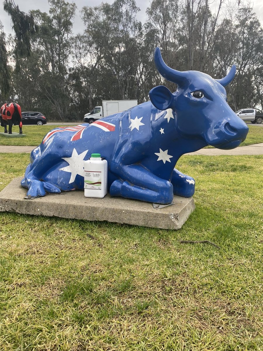 SonicEssentials's tweet photo. #IcONPlus on tour. Aussie Made IcON Plus made a stop over with the Shepparton cows https://t.co/H746iqPgLL