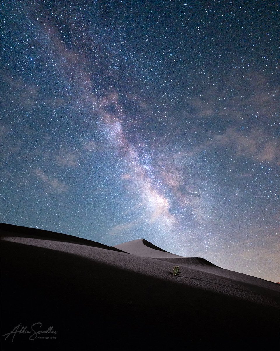 ABTweets88's tweet photo. From the milkyway chase last week at Al Razeen. https://t.co/QReUZFOPy0
