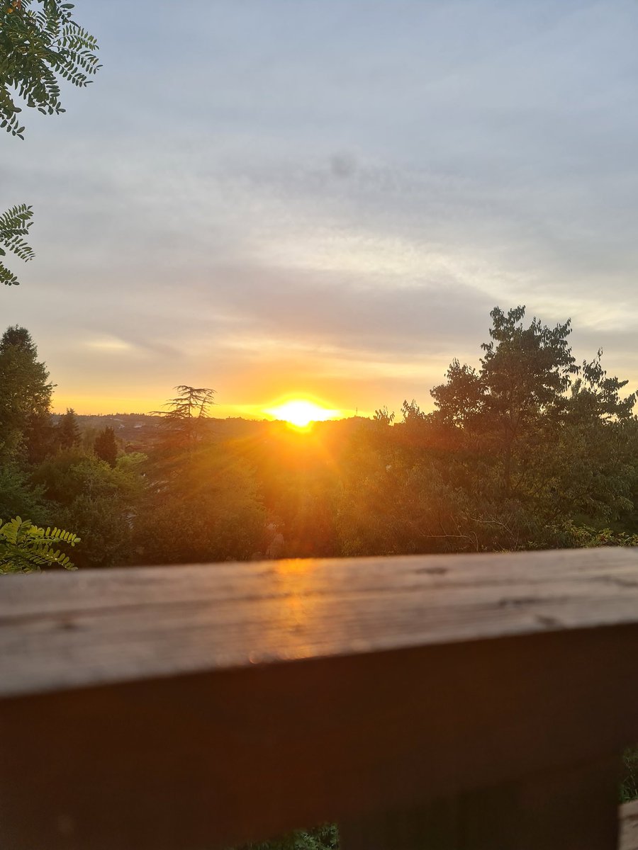 J'ai entrepri avec l'idée que mes appels d'offres restaient un monde inaccessible pour beaucoup d'entreprise. Pourtant, j'ai vu la rentrée rentrée financiere possible.
Croyez-le ou non... J'ai entrepris avec le coeur. ❤️
#appeldoffre #ao