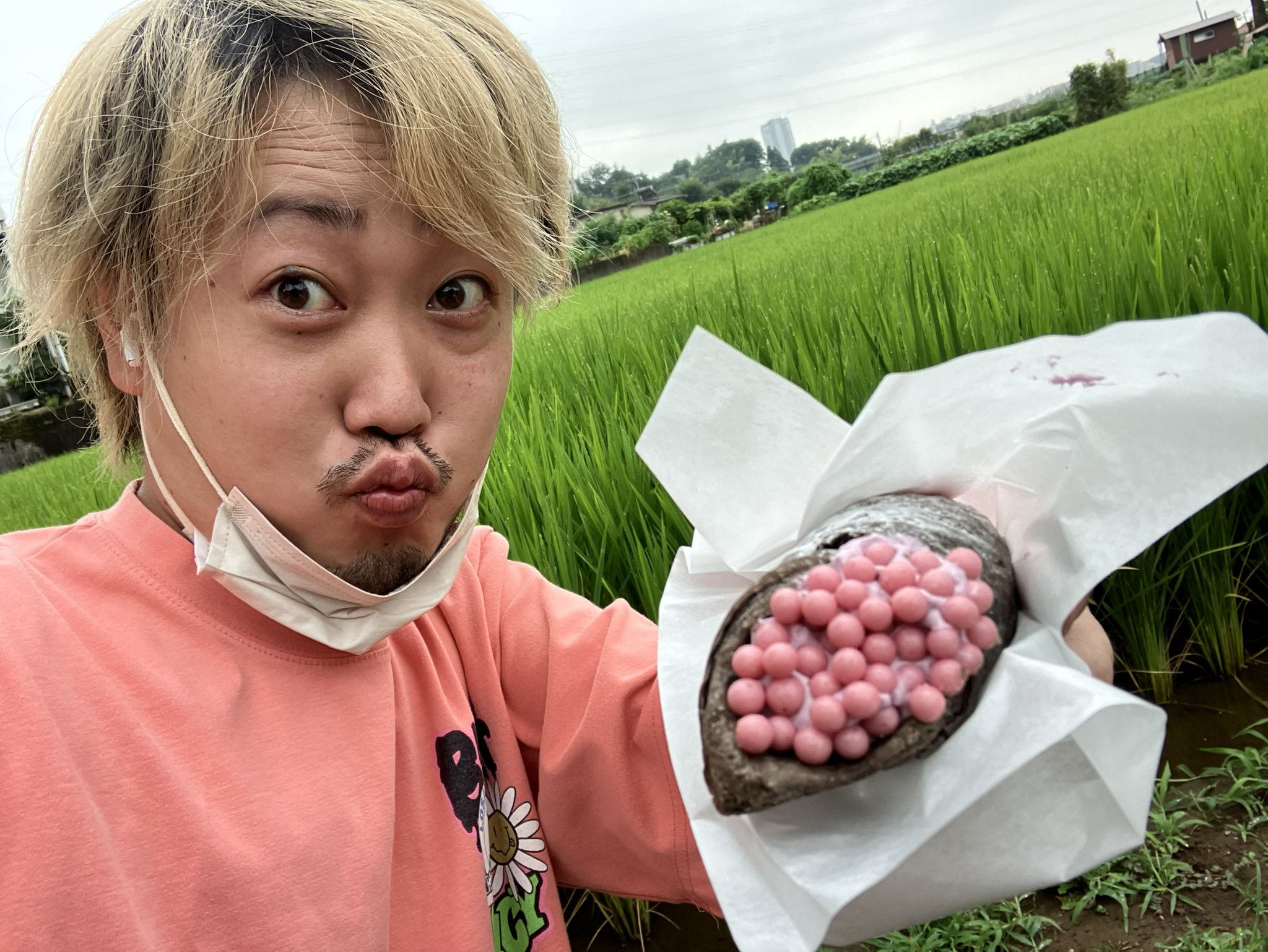 だっすー 須田 良 No Twitter スタバの新作ジャンボタニシの卵食べました 田んぼで採れたて T Co Ss4sozyebp Twitter