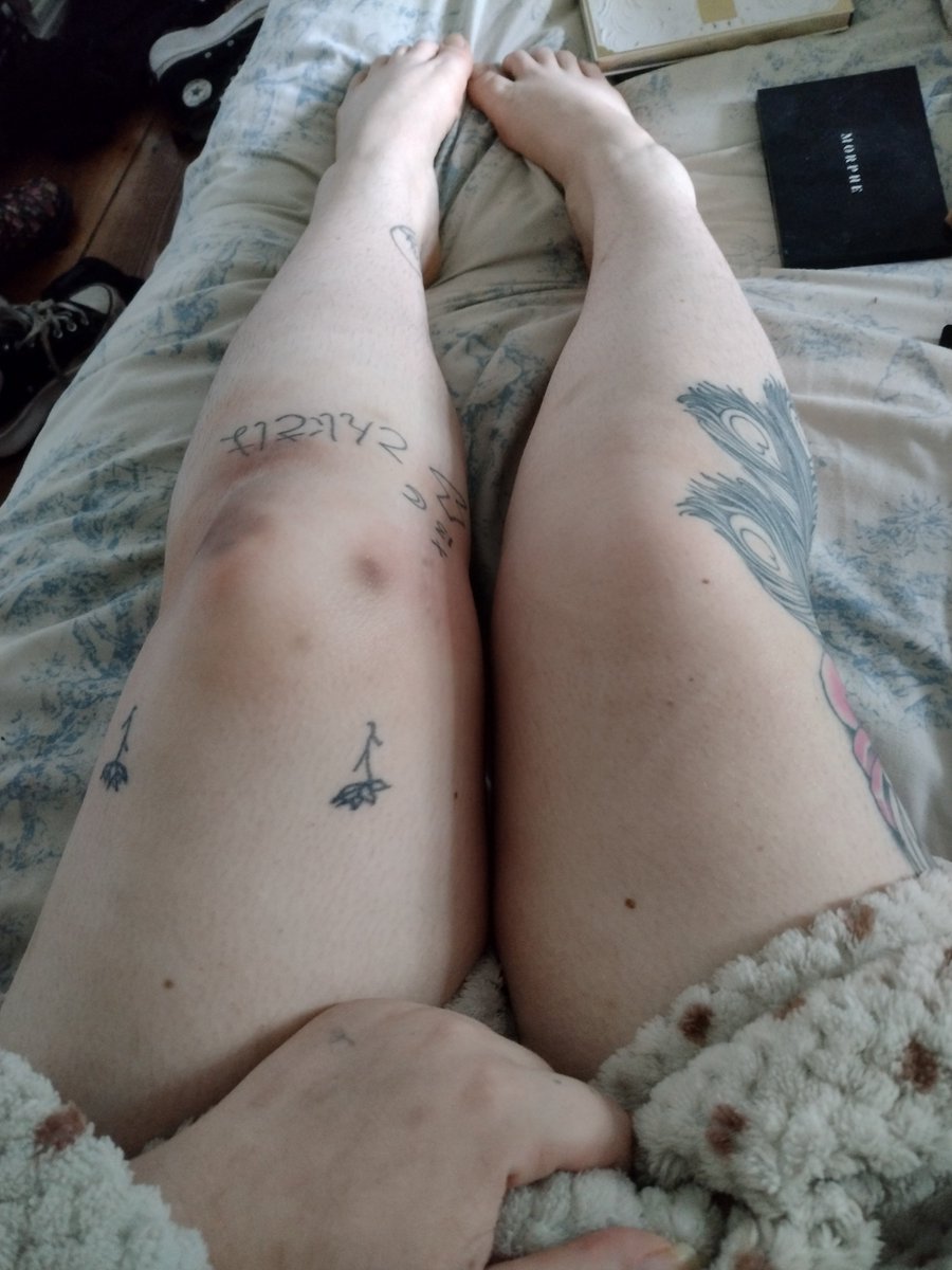 Lauren Tweets Things tweet media