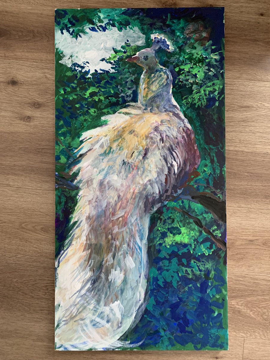 aUmiLievv's tweet photo. 白孔雀 a white peacock #gouache https://t.co/bqCzGdrCGK