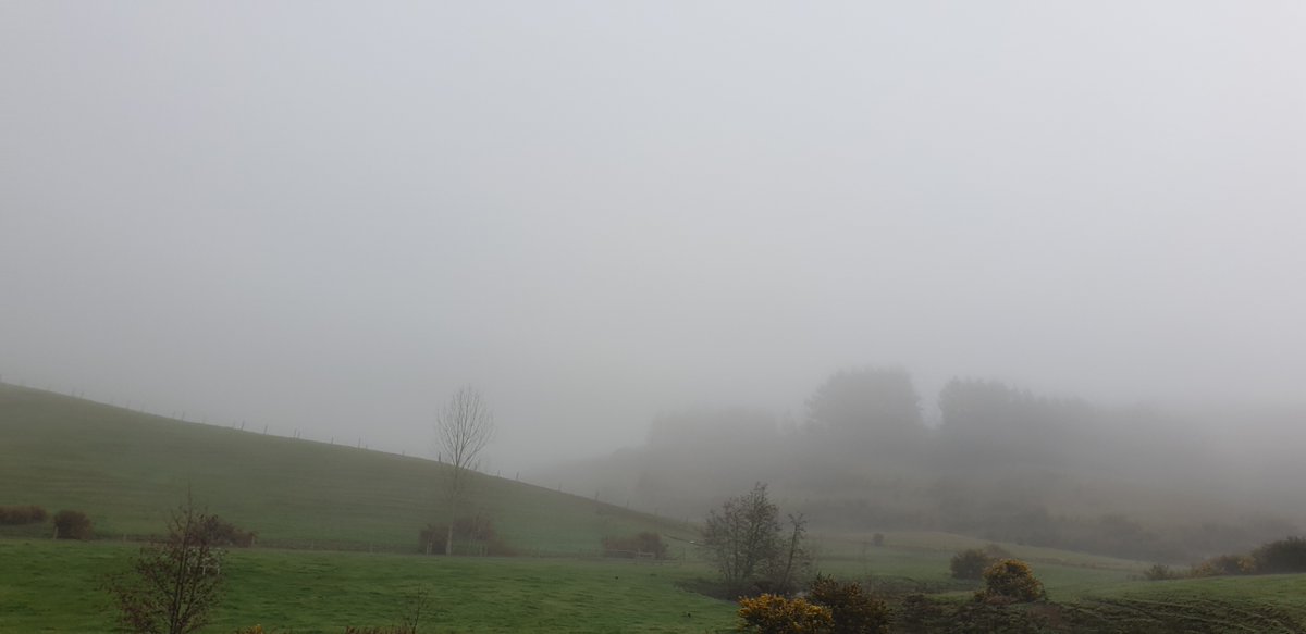 stariijabi's tweet photo. It was late posting, but this morning before 12pm, it was foggy, but peaceful, on the way home from Pukekohe... It was like a Scenic drive through.. Fresh air all!
#FoggyThursdayMorning #RandomDrive #Shopping https://t.co/FhIBxvLbUS
