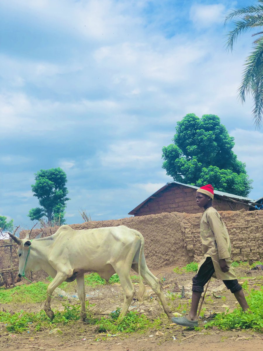 Ashreeal's tweet photo. Gokaru, Alkaleri LGA. https://t.co/7ui2ji9YVc