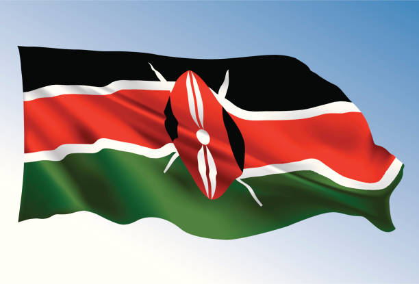 Evans15312's tweet photo. Kenya is afflicted with a chronic disease called Tribalism. We must repent over this sin. 
#RepentLikeNineveh https://t.co/MbWMJk9ME5